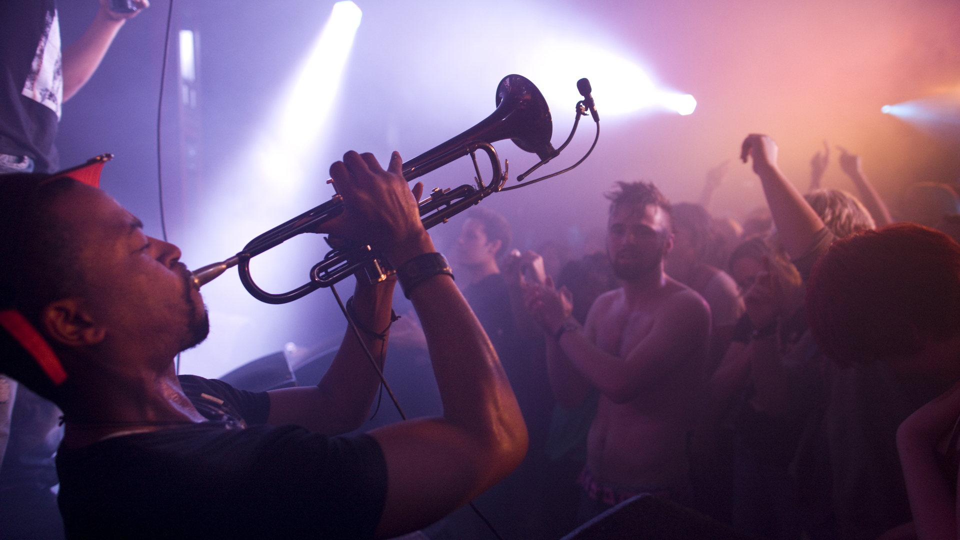 Jazz - Trumpet Live