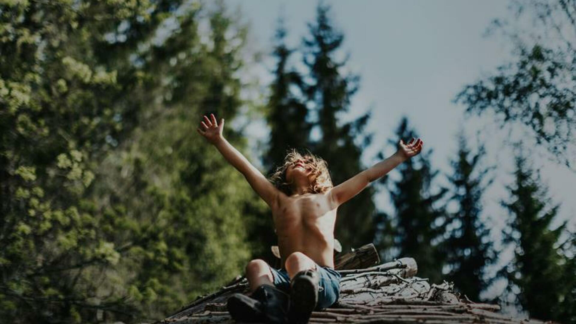 Film - ANewKindOfWildness