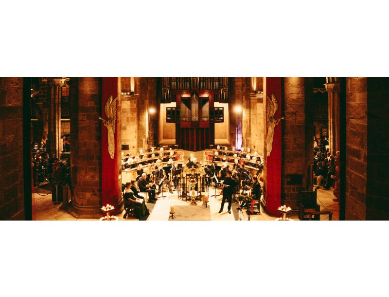 Hog - Candlelight Concert