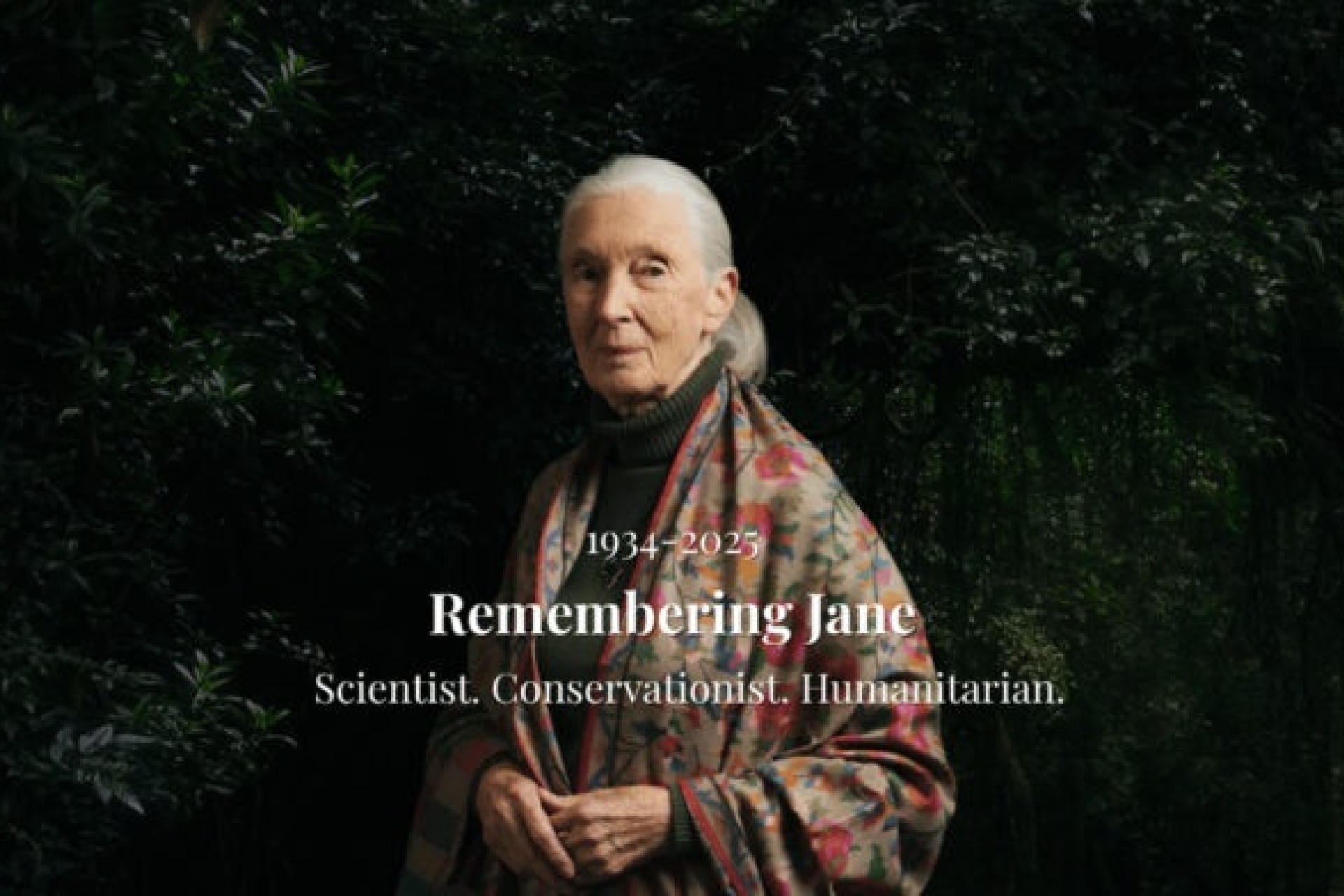 Science - Jane Goodall
