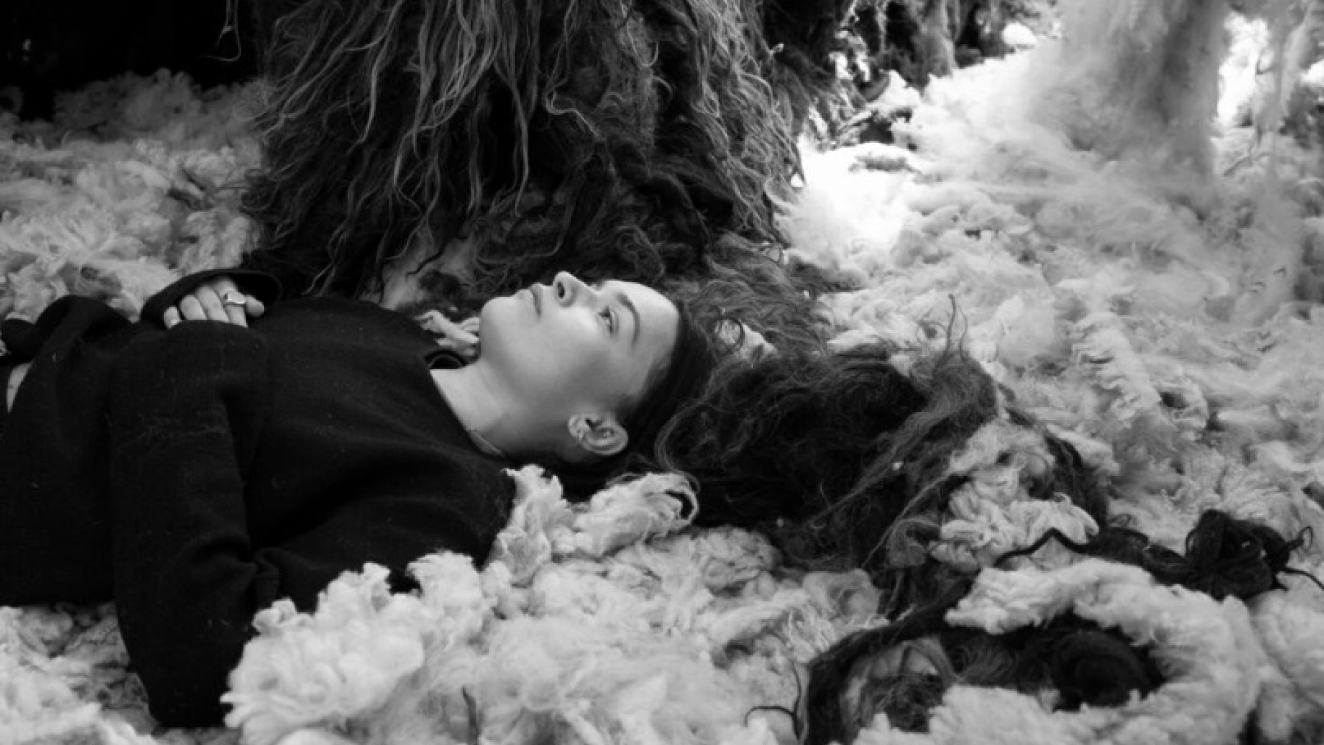 Art - Platform Olivia Priya Foster