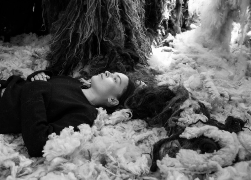 Art - Platform Olivia Priya Foster